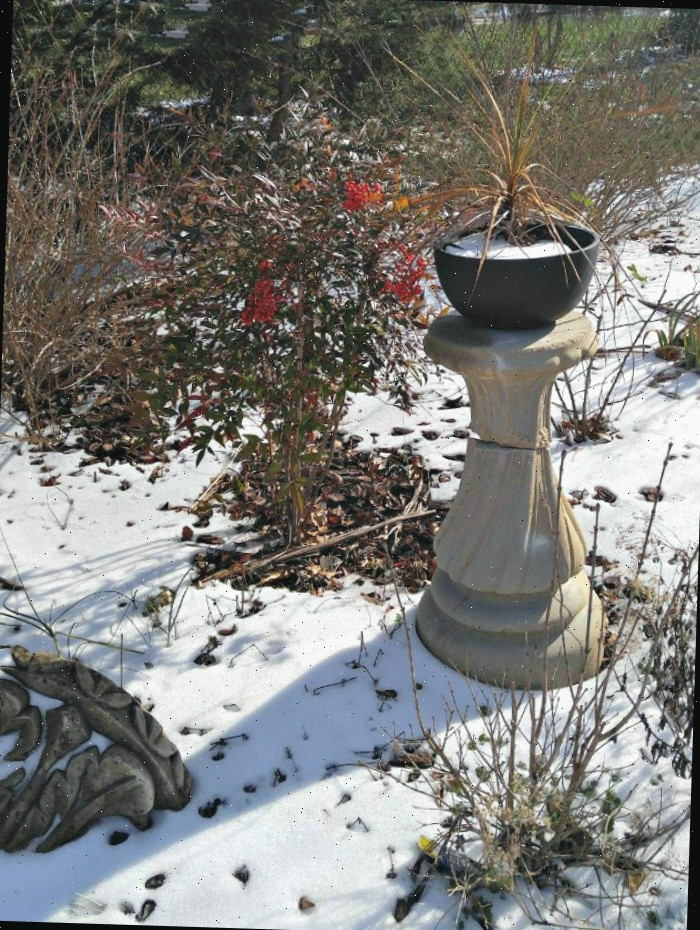Arbustos de Nandina próximos a um vaso em Raleigh, NC.