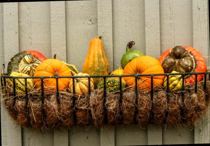 Decoração de parede com gourds em uma cesta de arame