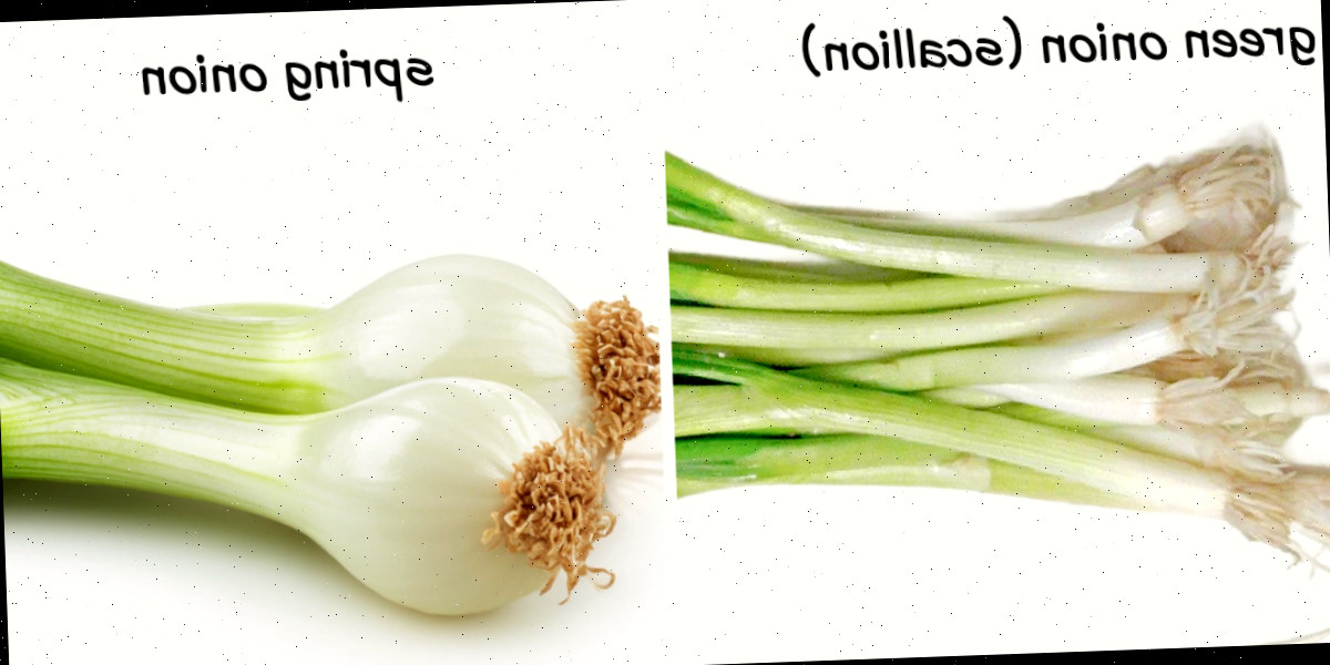 Imagens de cebolas verdes (cebolinhas) vs cebolinhas, demonstrando a diferença no tamanho do bulbo.