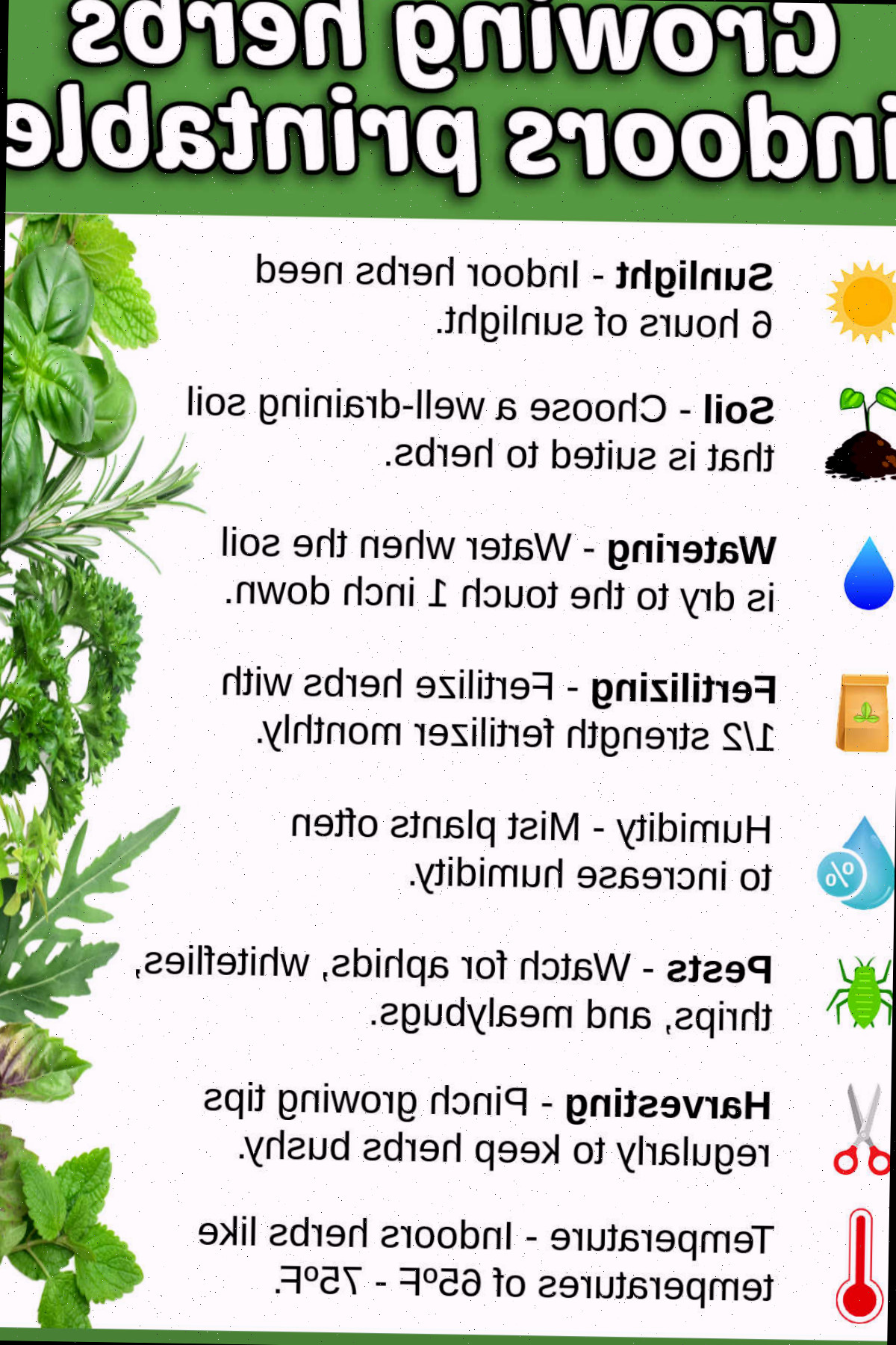 Como Cultivar Ervas Dentro de Casa Grátis para Impressão
