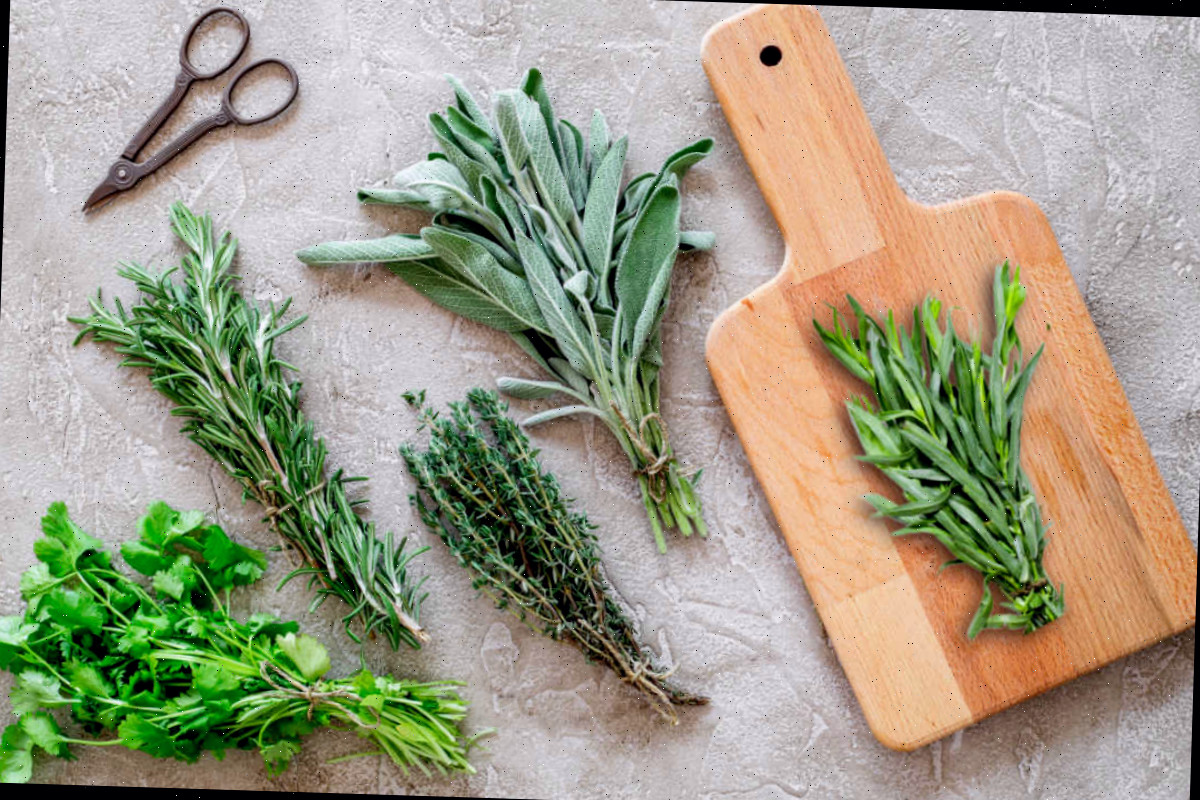 Ervas frescas, amarradas em maços, com uma tábua de corte e algumas tesouras.