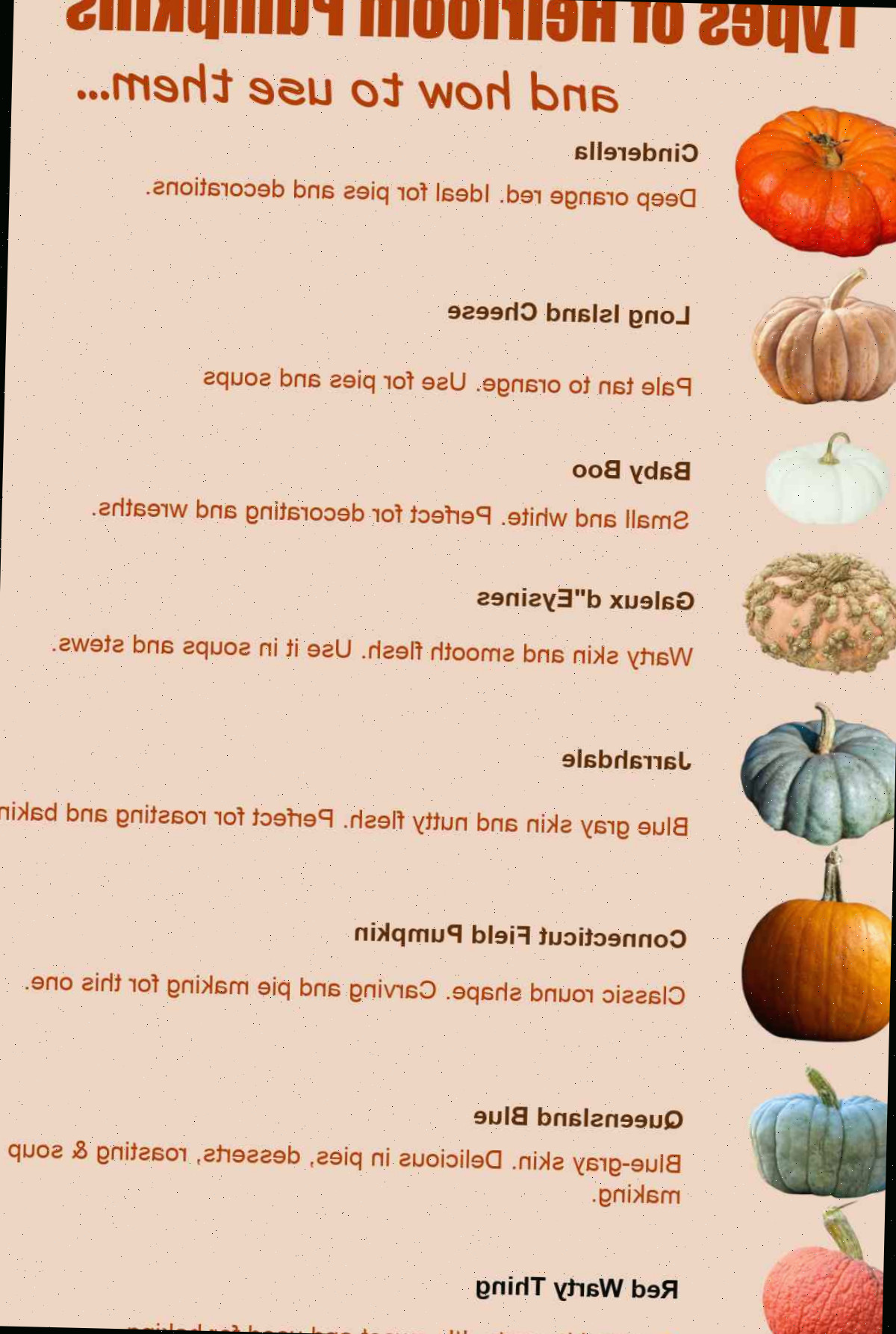 Lista de variedades de abóbora heirloom e como utilizá-las.