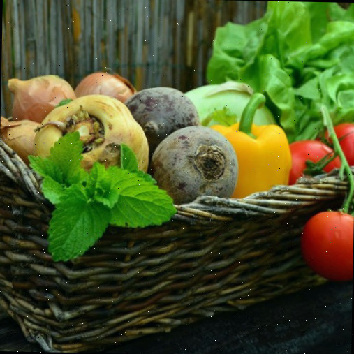 Cultivando Sementes Heirloom