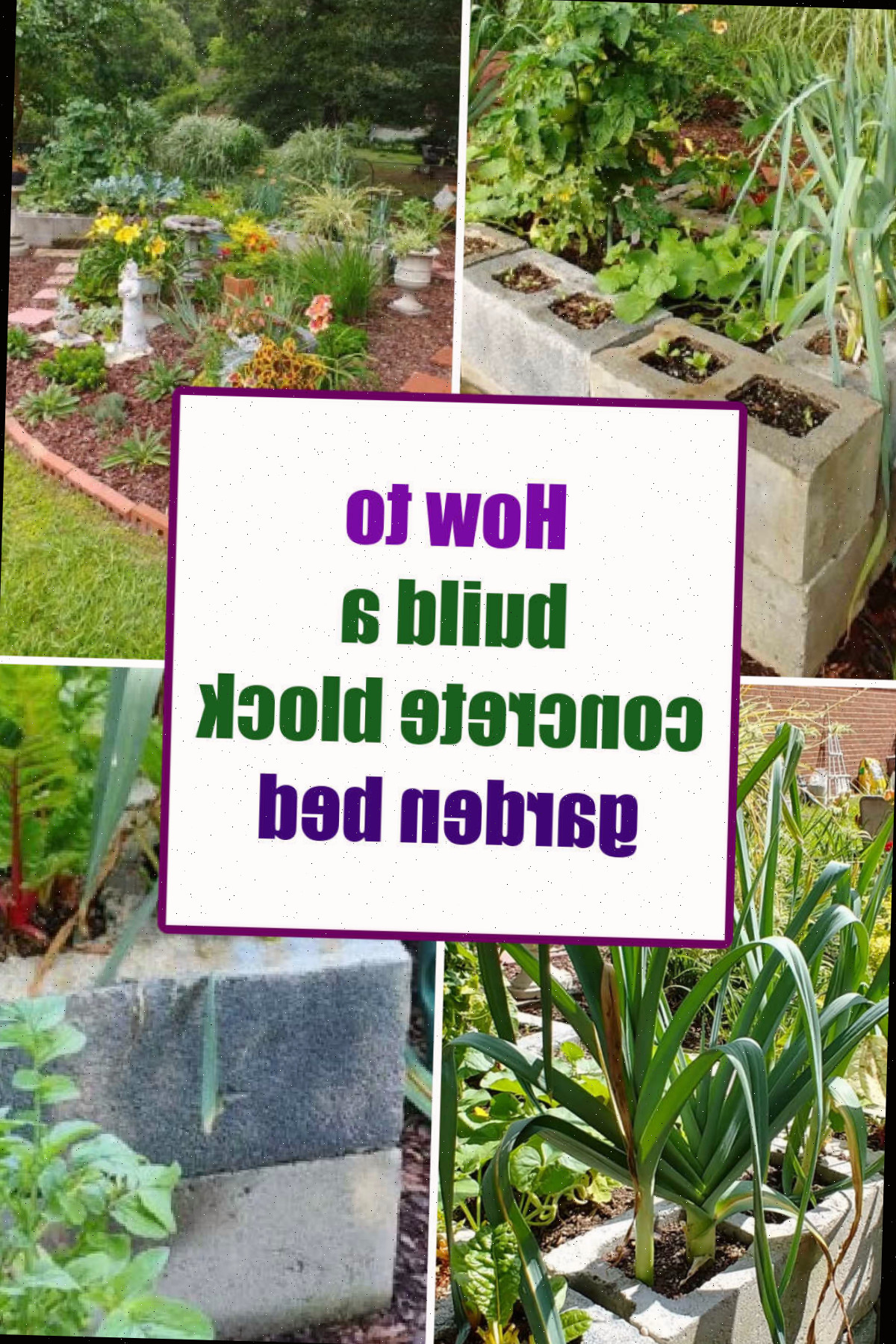 Como Construir uma Cama de Jardim de Blocos de Concreto Imagens de uma cama elevada de bloco de cimento. O texto diz Como construir uma cama de jardim de bloco de concreto.