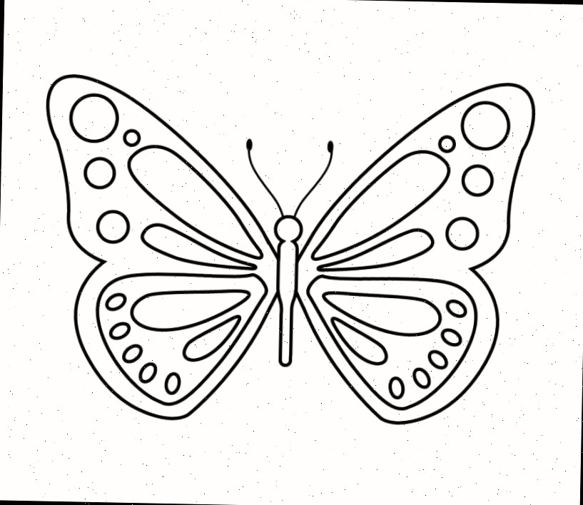 Como desenhar detalhes nas asas da borboleta: detalhes são feitos após adicionar manchas.
