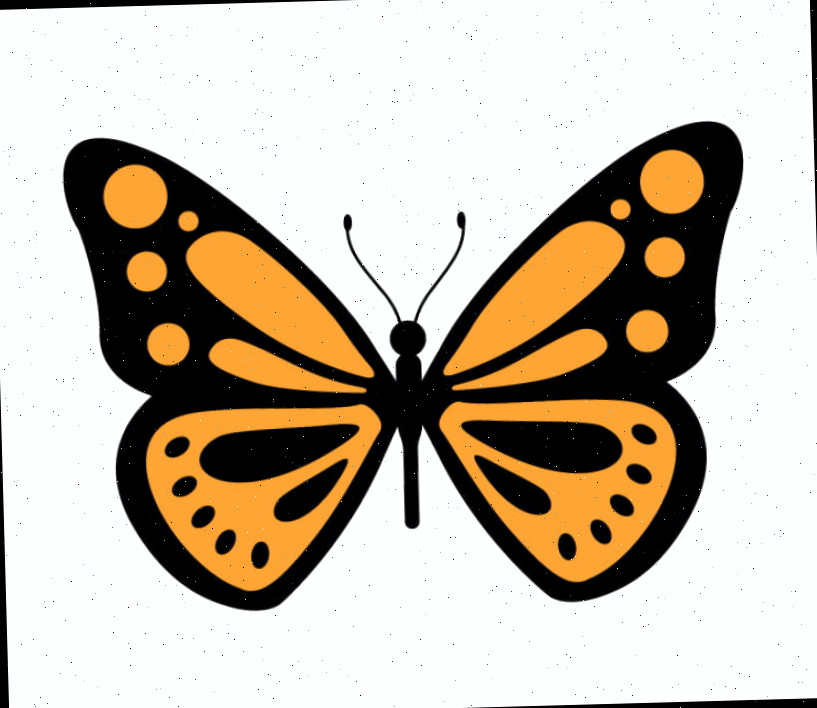 Finalizando o desenho da borboleta com coloração. Parece uma borboleta monarca.