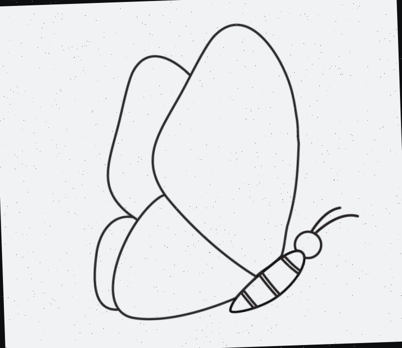 Uma segunda asa foi desenhada ao lado da primeira para fazer com que esta borboleta pareça que está voando