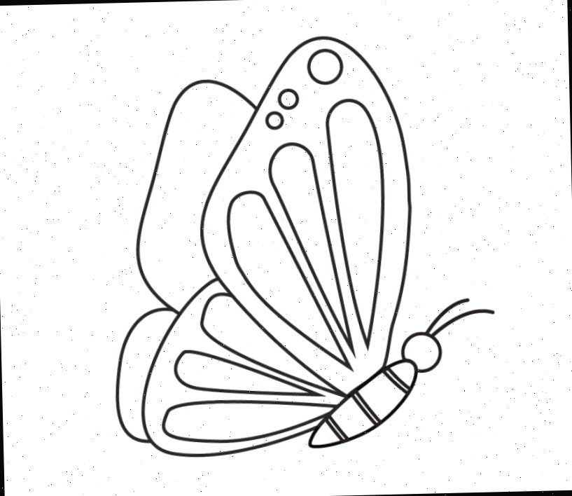 Como adicionar detalhes da asa a um desenho de borboleta de perfil lateral