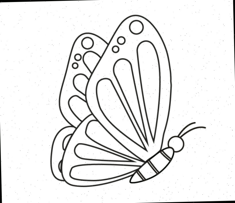 Asas de borboleta finalizadas com detalhes