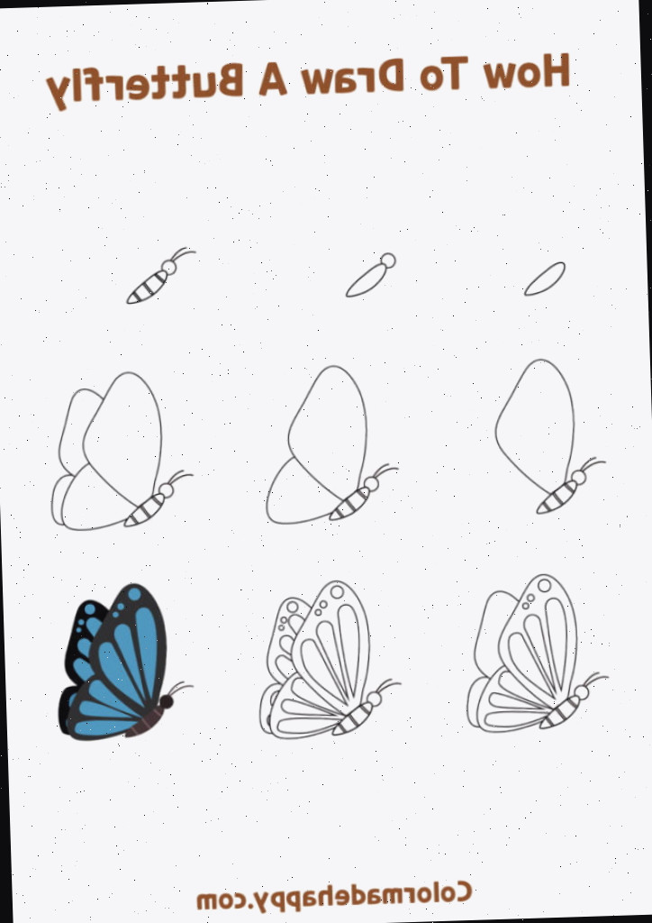 Como Desenhar uma Borboleta de Lado que Está Voando: Instruções Passo a Passo