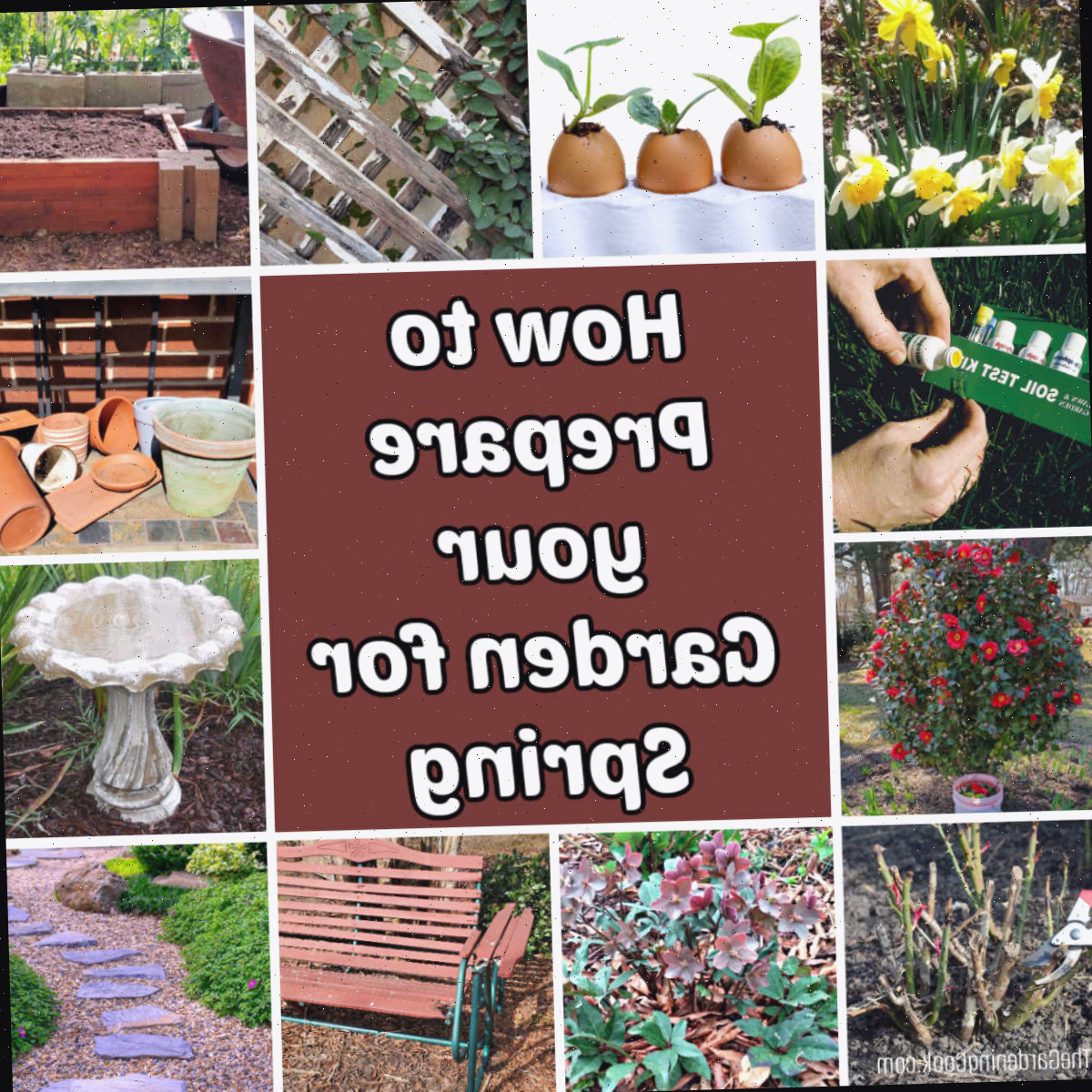 Imagens demonstrando como preparar seu jardim para a primavera, incluindo teste de solo, checagem de ferramentas, poda de rosas e limpeza de um bebedouro para aves.