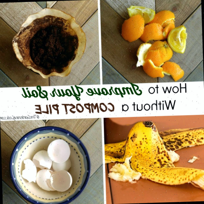 Compostagem em Trincheiras com Restos de Cozinha