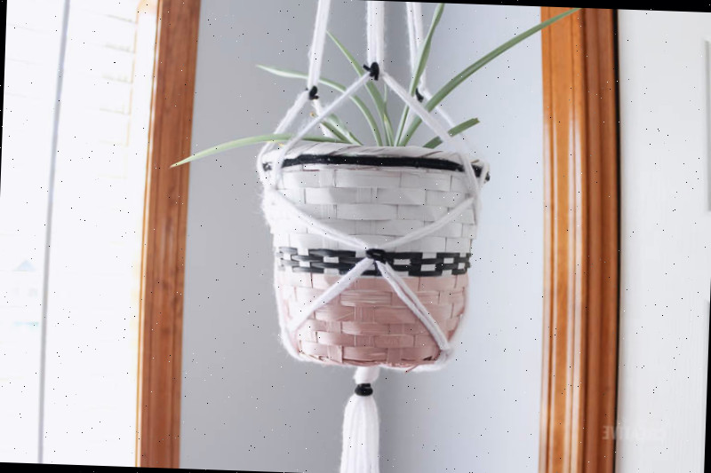 Cesta Suspensa DIY para Plantas Internas