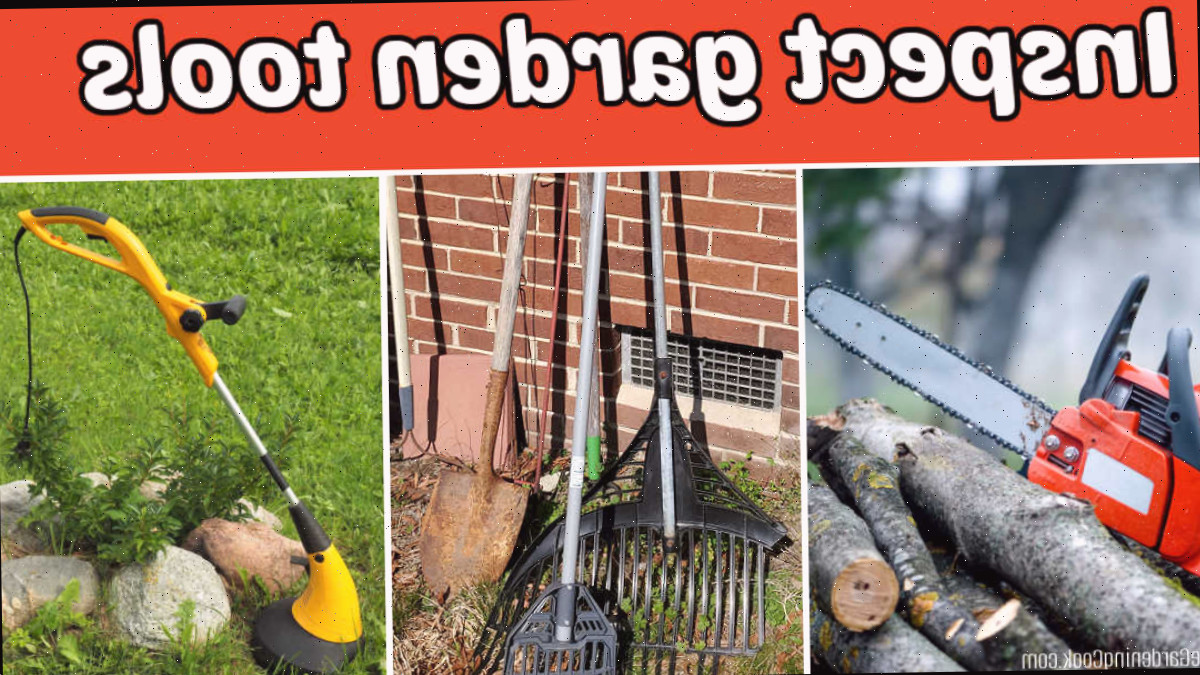 Motosserra em troncos, aparador de grama e utensílios de jardim danificados necessitando de reparo.