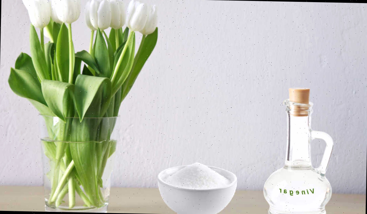 Mantenha as flores frescas com vinagre Vaso de tulipas brancas com vinagre e açúcar em tigela e decantador.