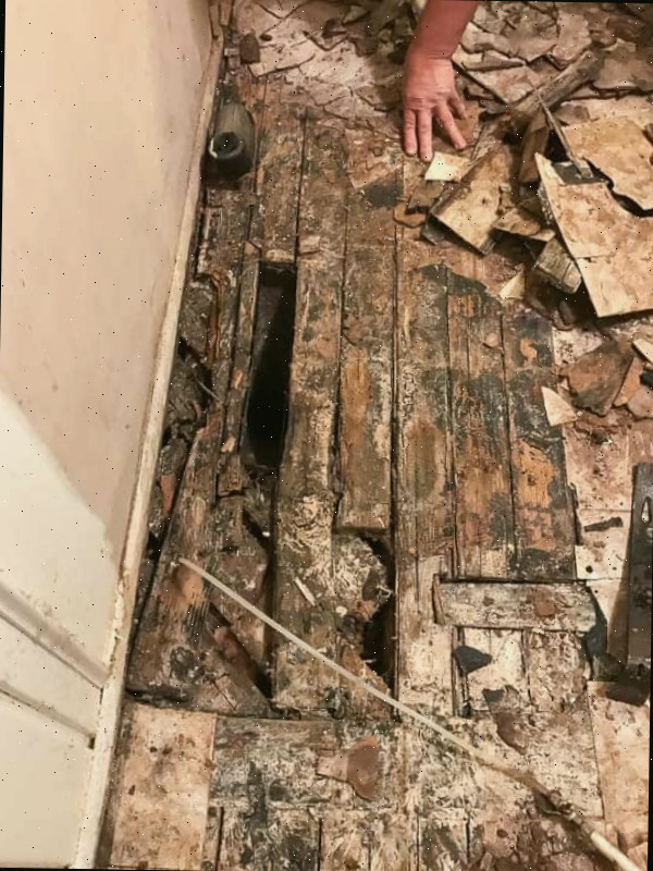 Piso e Escolha