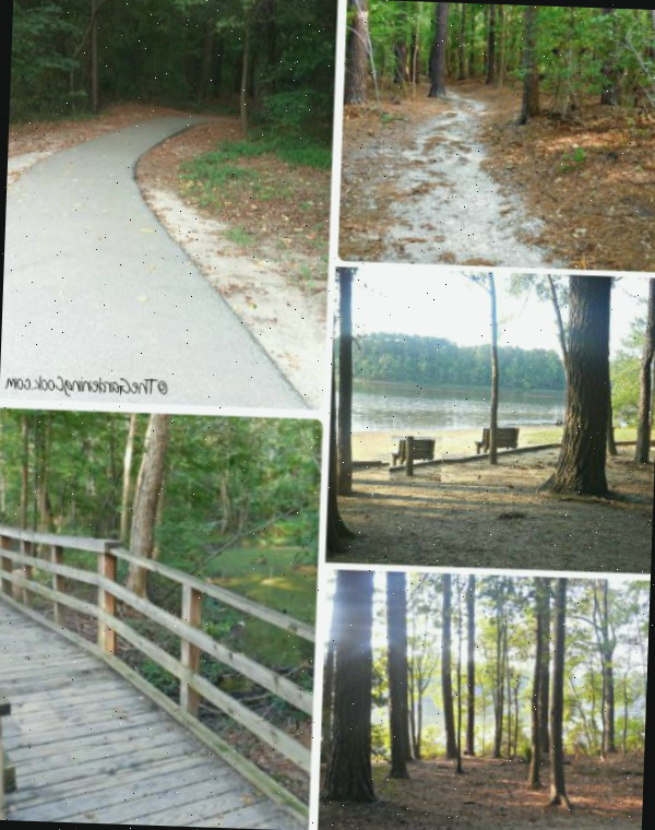 Parque Lago Benson