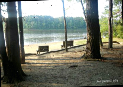 Lago Benson