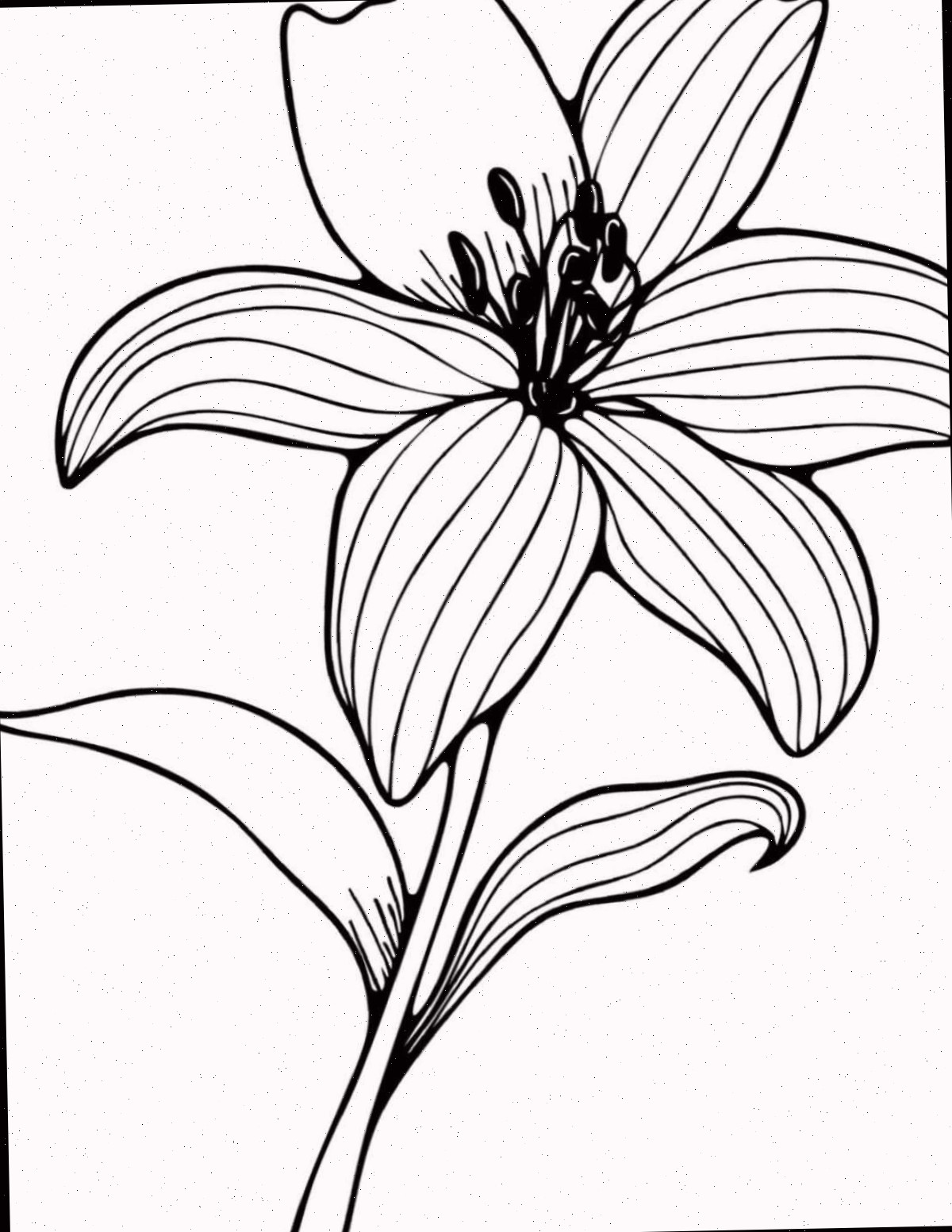 Obtenha esta página para colorir de lírios grátis para imprimir Uma página para colorir de lírios para imprimir com um lírio em um caule com duas folhas no centro da folha para colorir.