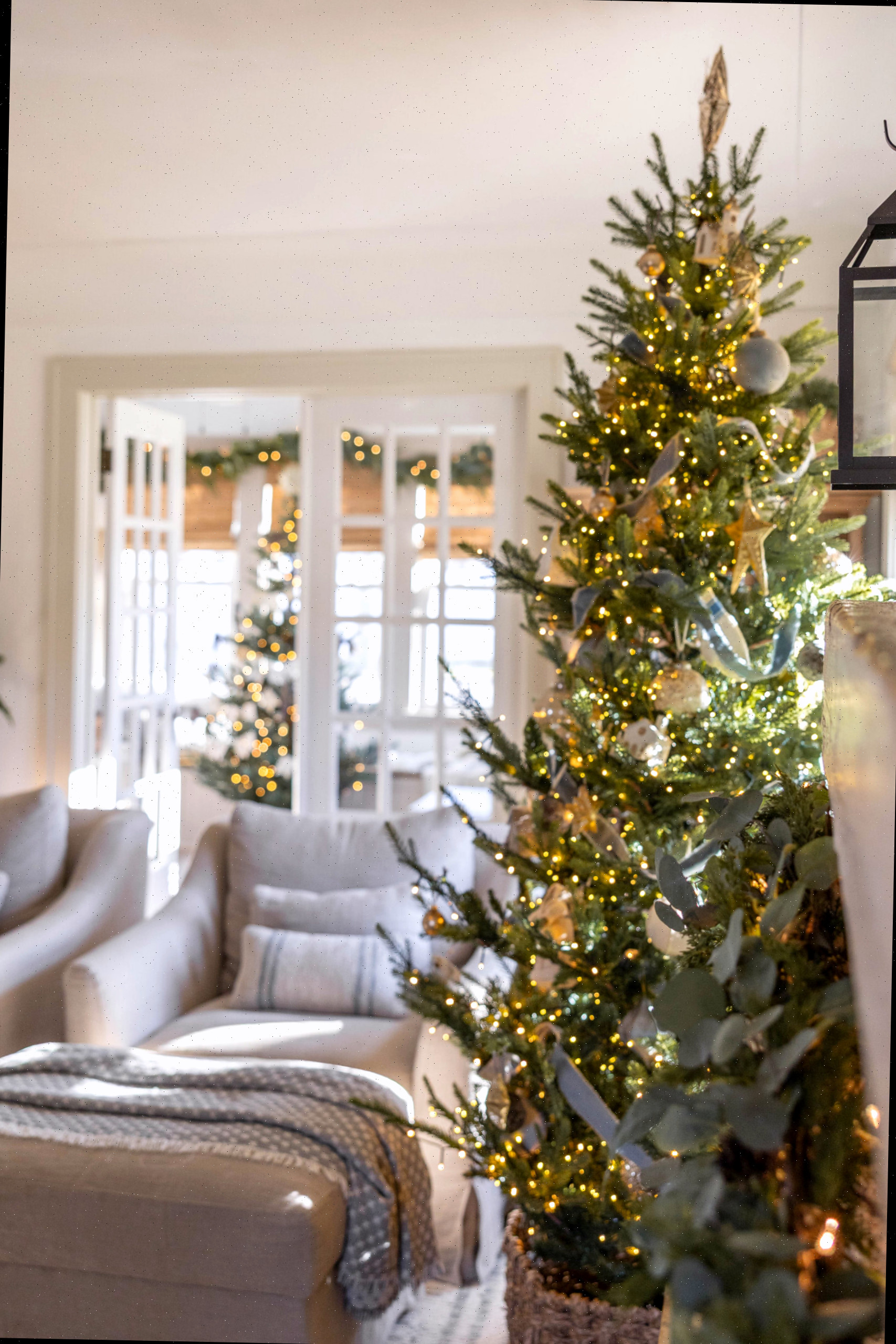 Passeio Natal aconchegante na casa de campo 2025