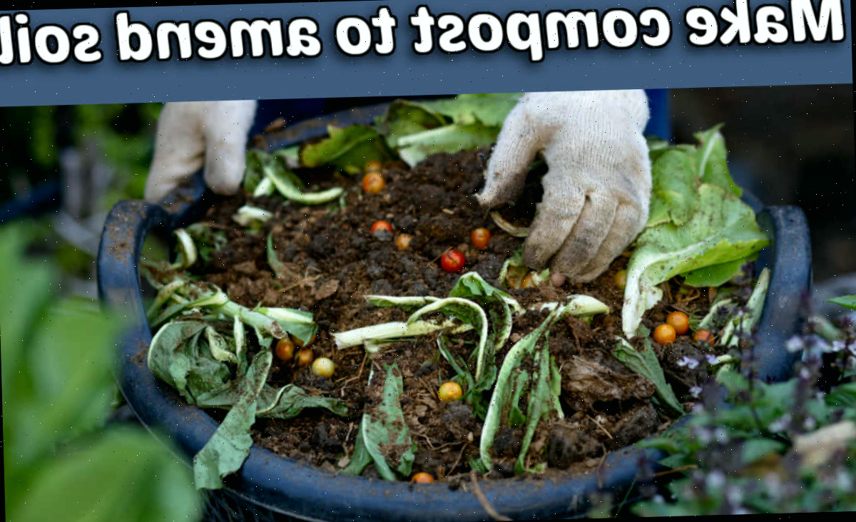 Balde azul cheio de sobras de cozinha e materiais de compostagem para produzir composto no jardim.