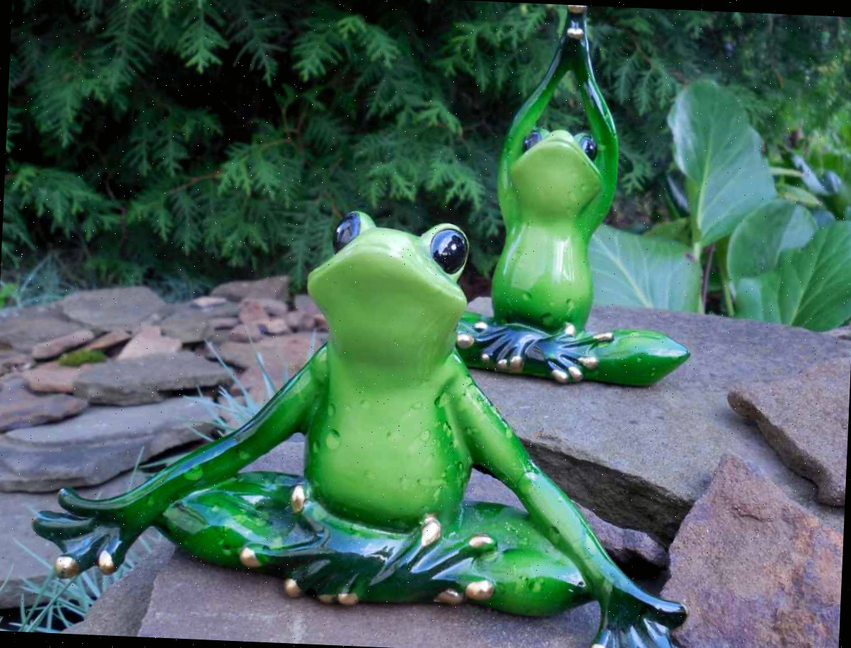 rãs meditando