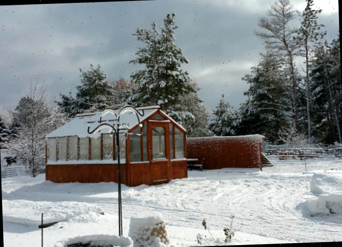 Invernadeira coberta de neve no Michigan.