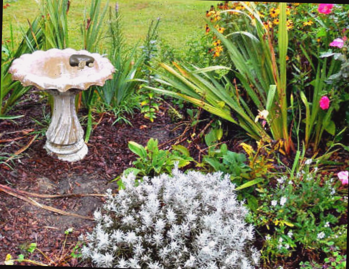 bacia para pássaros com pedras em uma cama de jardim Adicione pedras em uma bacia para pássaros para oferecer às monarcas um local para pousar
