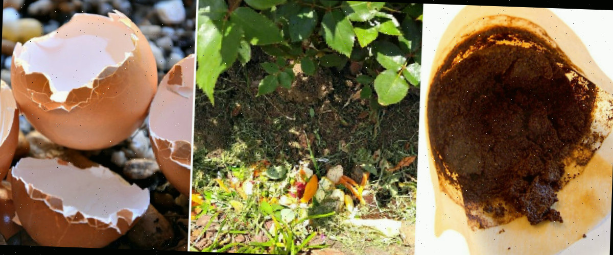 Um mosaico com imagens de fertilizantes caseiros para plantas, incluindo borra de café, compostagem de valas e cascas de ovos em composto.