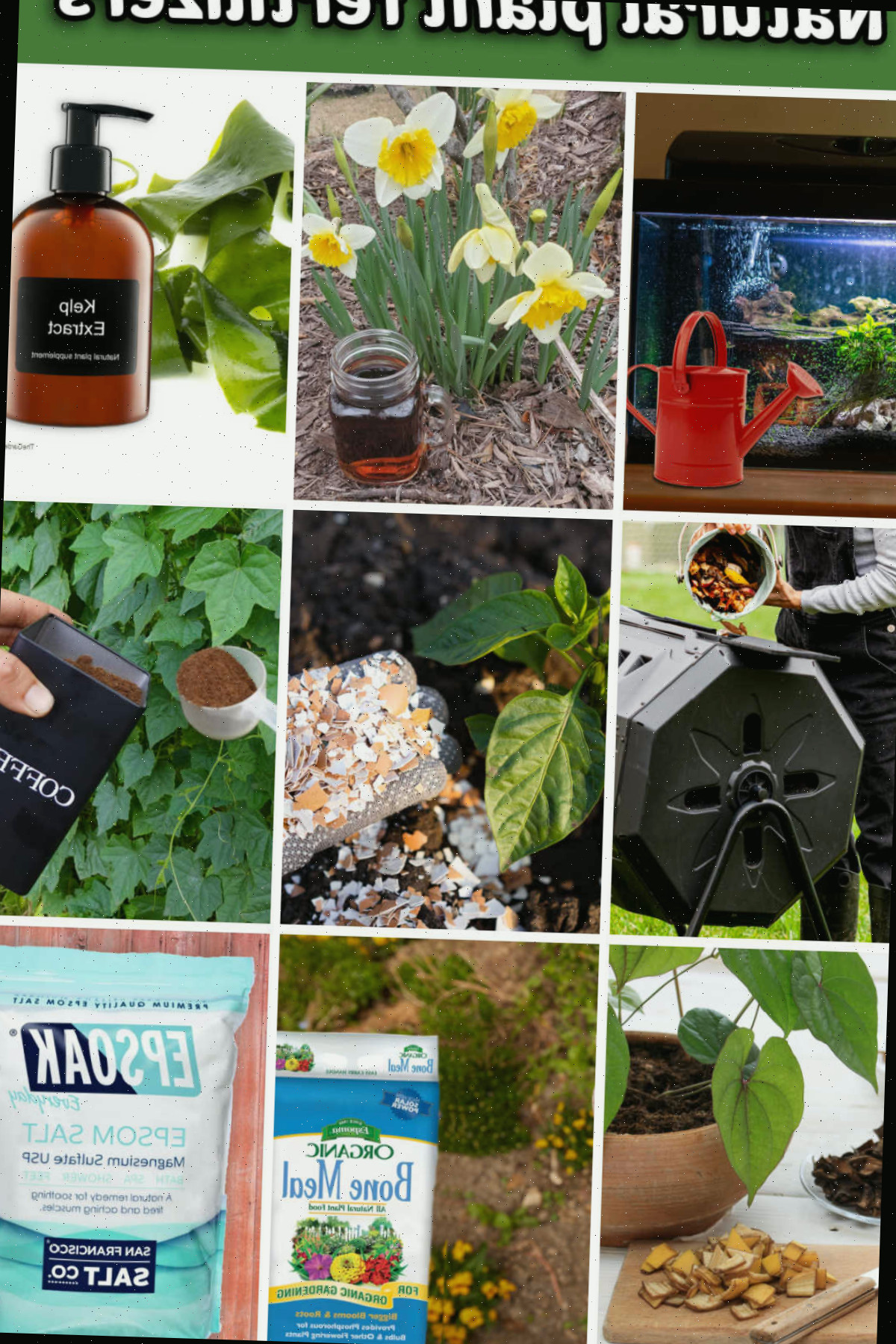 Um mosaico com imagens de fertilizantes naturais para plantas: fertilizante com água de aquário, chá de composto, fertilizante de extrato de alga, compostagem, cascas de ovos, borra de café, farinha de ossos e fertilizante com sal de Epsom.