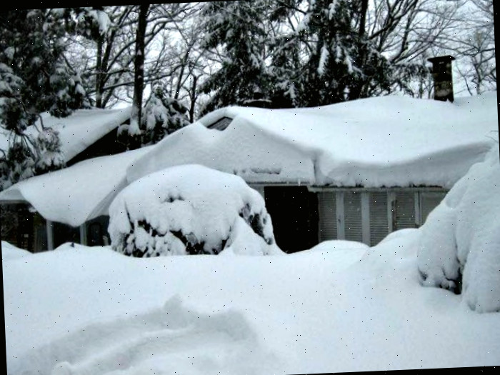 Coberto de neve em Nova Jersey