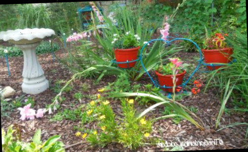 Um belo jardim com um bebedouro para pássaros, vasos vermelhos em um suporte em forma de coração e muitas flores.