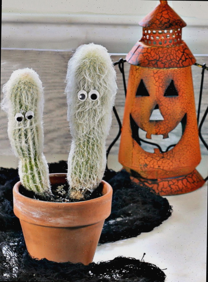 Cacto velho e lanterna para o Halloween