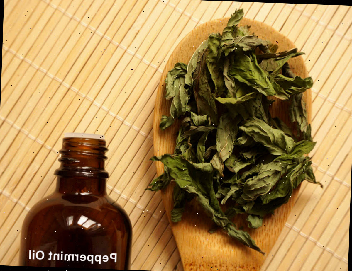 Folhas de hortelã-pimenta em uma colher ao lado de uma garrafa de óleo de hortelã-pimenta.