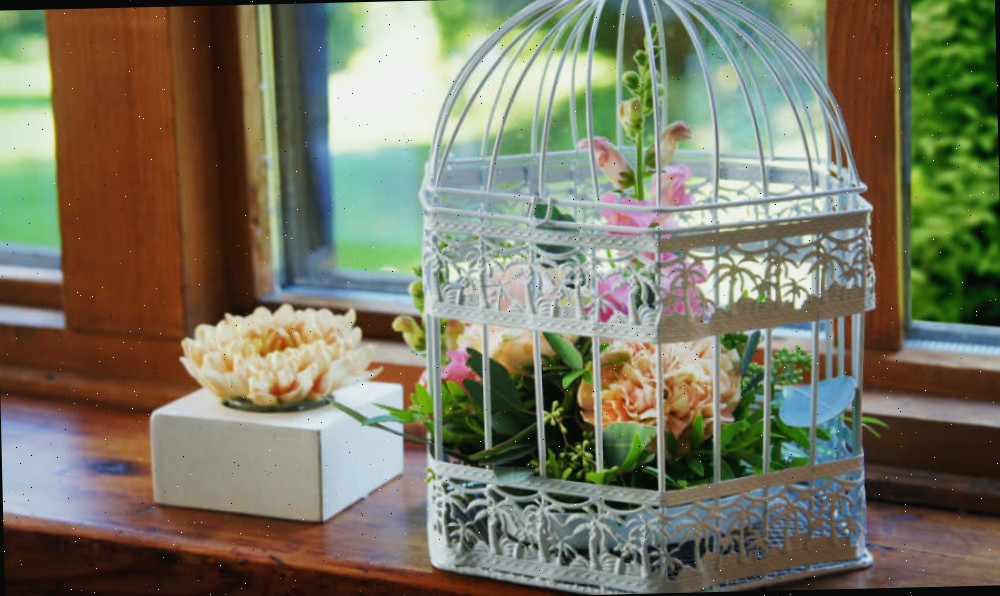 Lindo recipiente para pássaro branco Gaiola de pássaro em uma janela com plantas dentro.