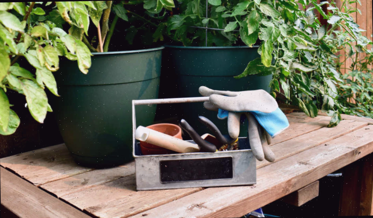 Uma mesa de plantio com utensílios de jardinagem e vegetais.