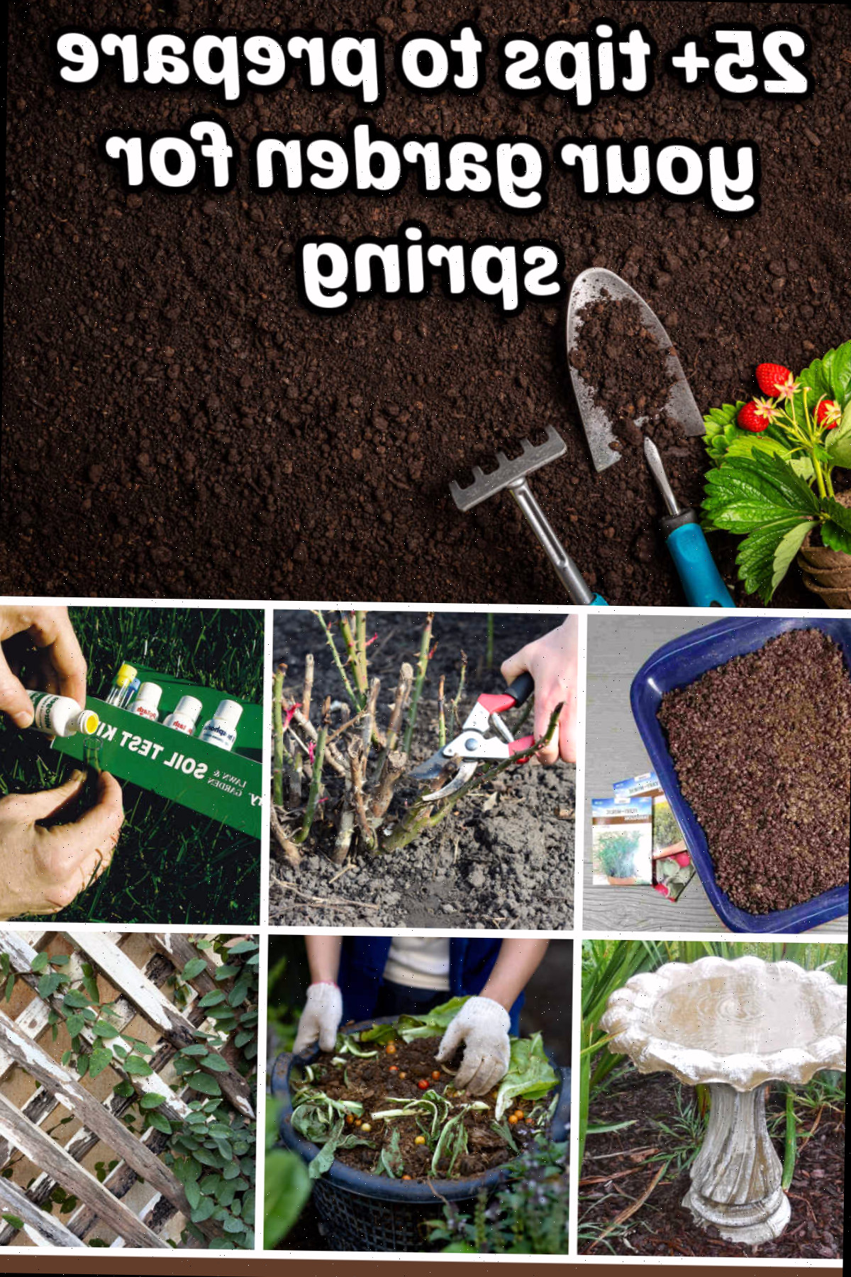 Como deixar seu jardim preparado para a primavera 25 sugestões para preparar seu jardim para a primavera, incluindo teste de solo, iniciação de sementes, poda de rosas e muito mais.