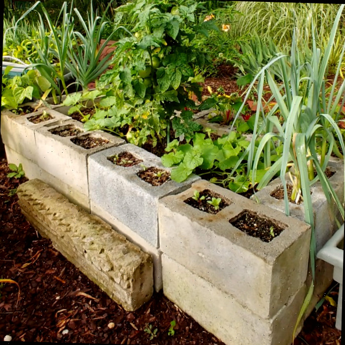 Cama de jardim elevada feita de blocos de concreto.