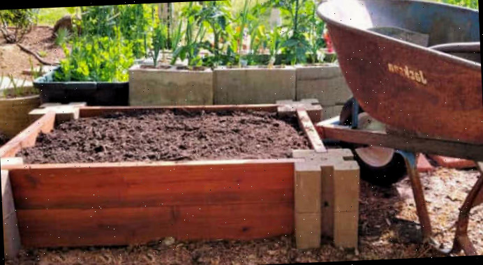 Um carrinho de mão e uma pá com composto ao lado de um canteiro elevado no início da primavera.