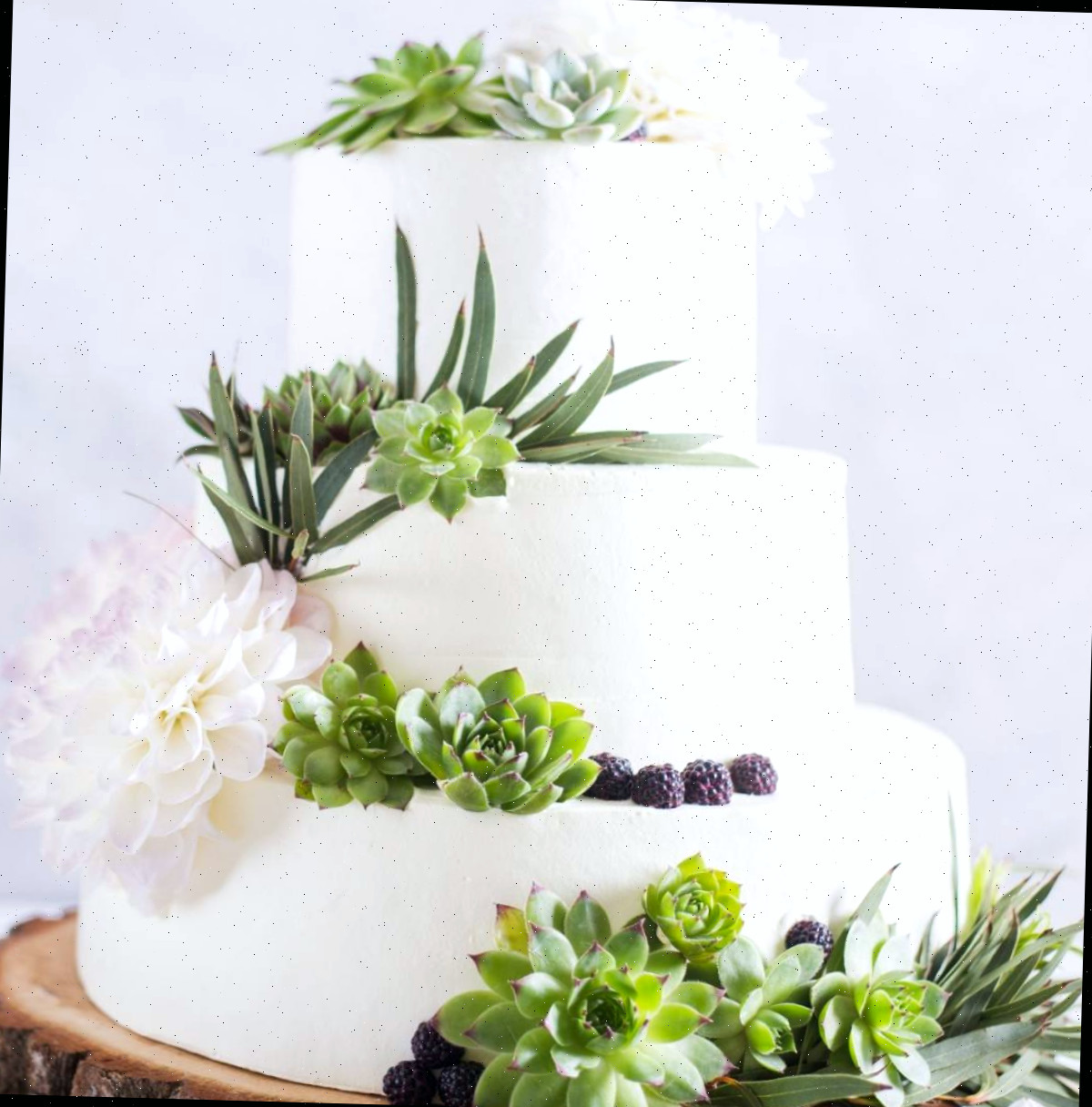 Bolo com suculentas em três camadas Um bolo decorado com suculentas de três camadas sobre um pedestal de madeira, coberto com fondant branco em cada camada, e topos artificiais de suculentas em cada camada, acompanhados de flores de dália, doces de amora e folhagem.
