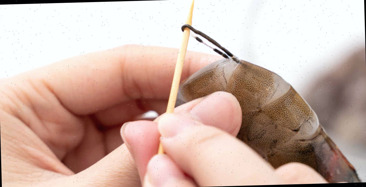 Use um palito Mãos utilizando um palito para erradicar uma veia de camarão.