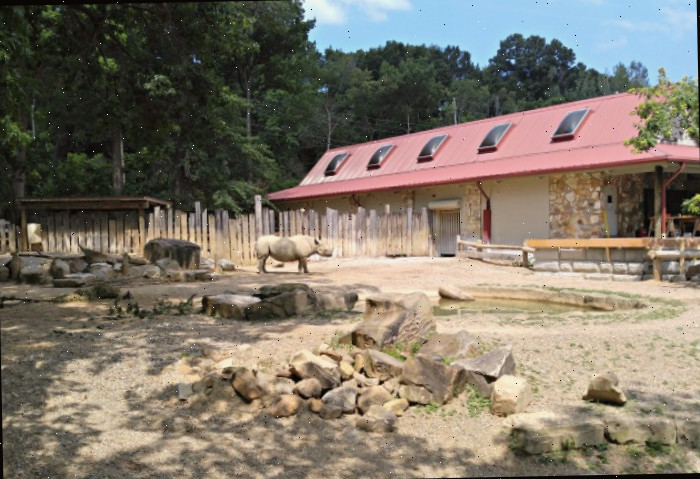 Exibição de rinoceronte no Zoológico de Cleveland