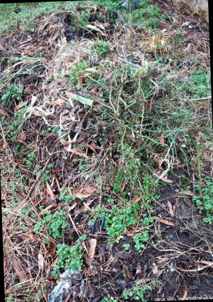 Pilha de compostagem móvel