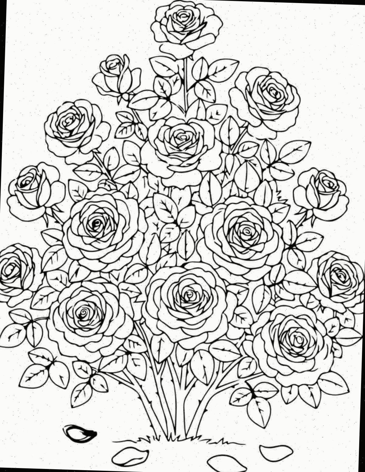 Páginas para colorir de rosas grátis para imprimir Uma folha para colorir de rosas com uma grande roseira no centro da folha.
