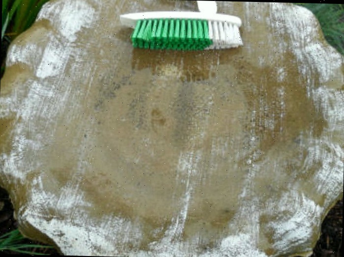 Use a escova de esfregar em seguida. Uma imagem do processo de um bebedouro de pássaros de cimento que ainda apresenta algum resíduo de algas marinhas, com uma escova rígida de esfregar apoiada no recipiente.