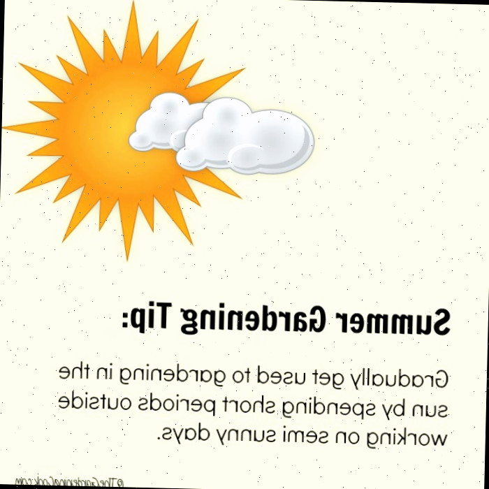 Sol e nuvens em um fundo amarelo com sugestões de jardinagem de verão sobre breves períodos de exposição ao sol.