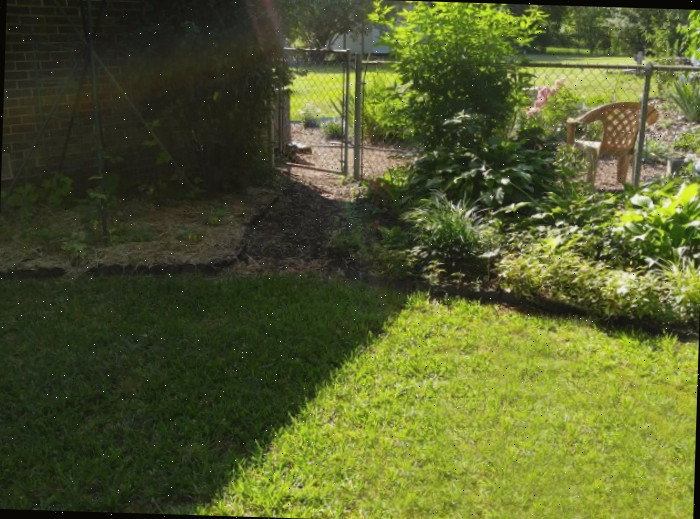 Jardim e casa com metade do gramado na sombra.