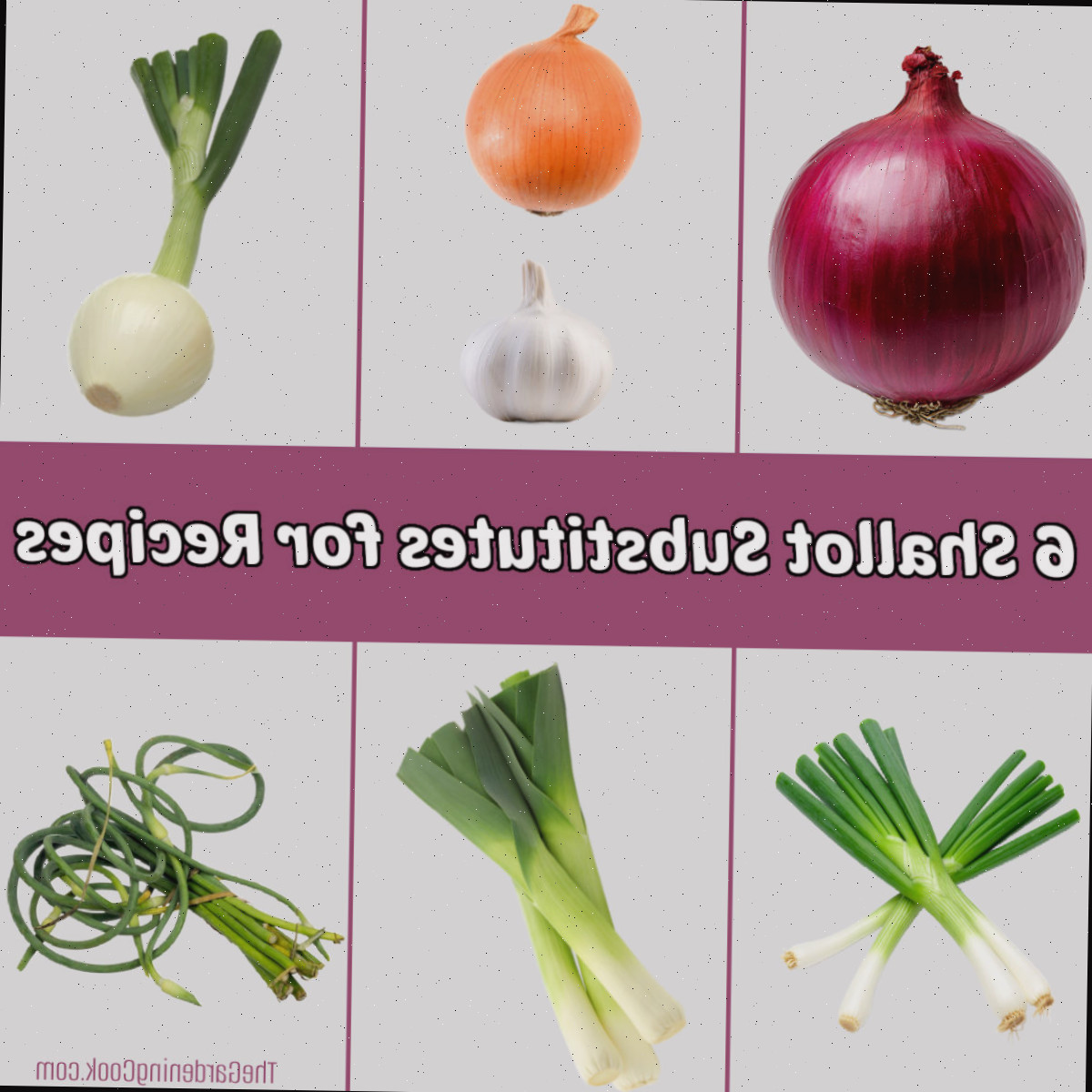 Ideias de Substitutos para Chalotas: Melhores Substituições para Chalotas