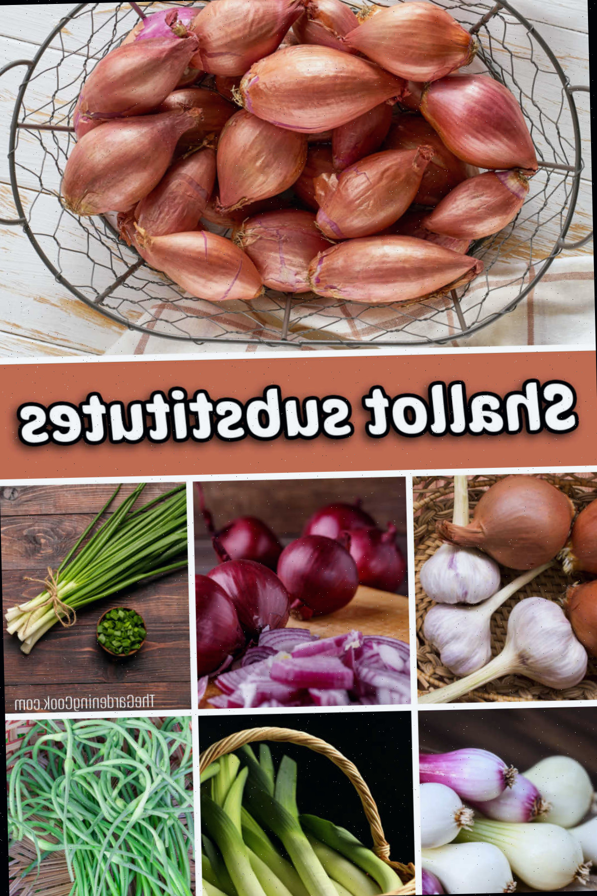 Substitutos para Chalotas em Receitas e Pratos Crus Imagens de cebolas, alho, cebola roxa, cebolinha, cebolinhas da primavera, alho-poró e brotos de alho - todos ótimos substitutos de chalota.