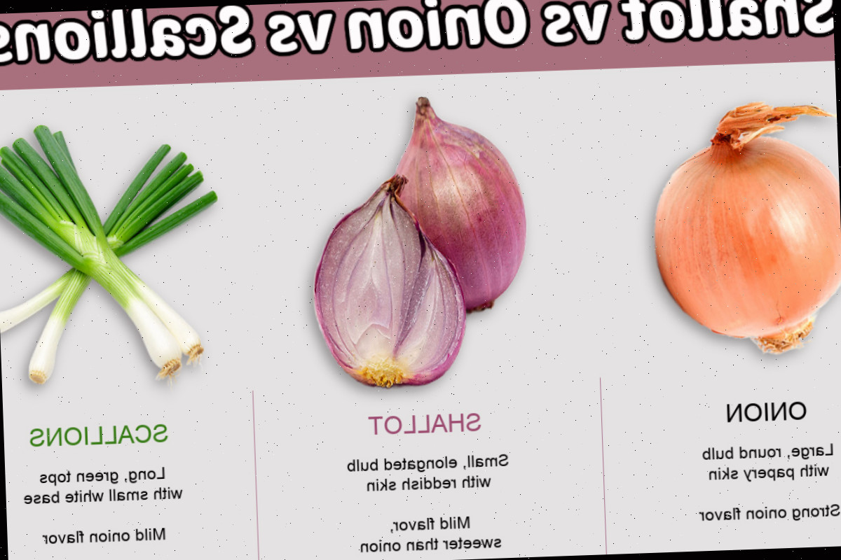 Imagens de chalotas vs cebola vs cebolinha com nome e descrição e detalhes de sabor.